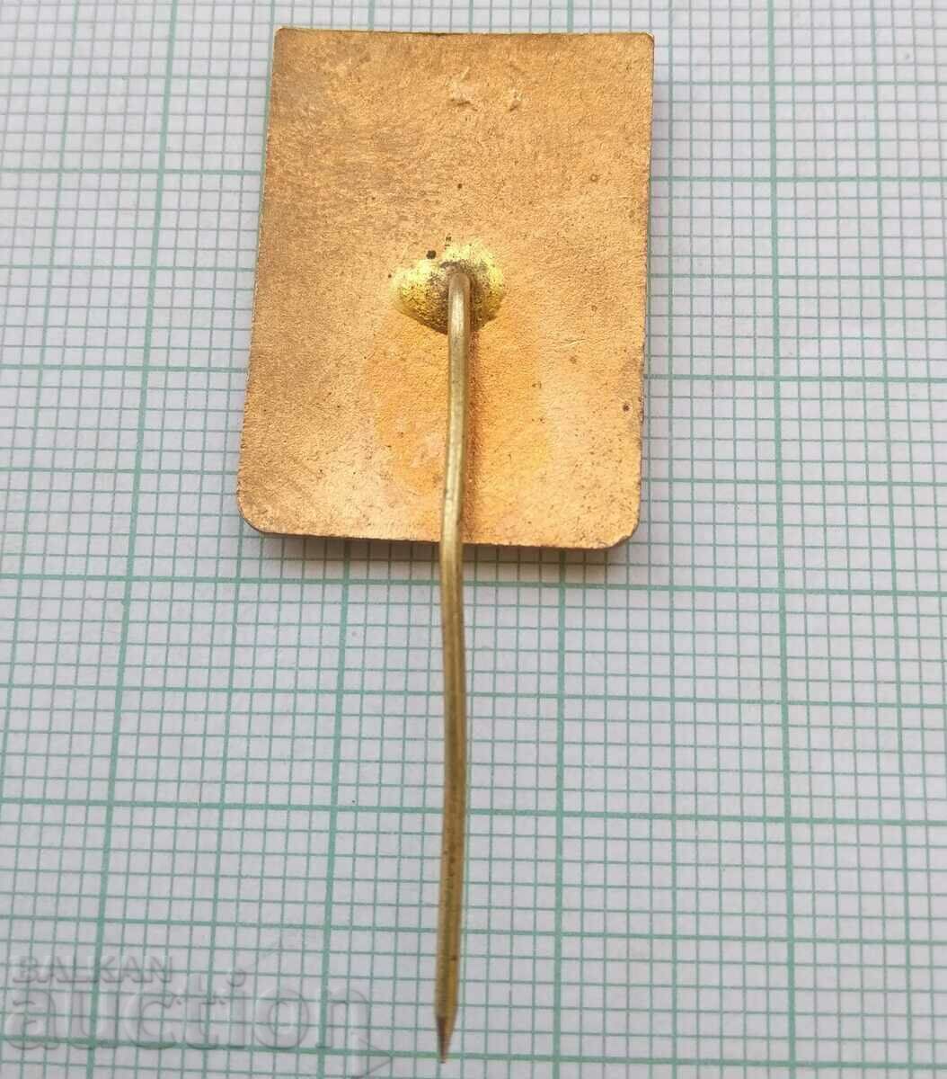 Delivery of 16006 Badge - Alpinism 3rd class - bronze enamel Delivery of 16006 Badge - Alpinism 3rd class - bronze enamel