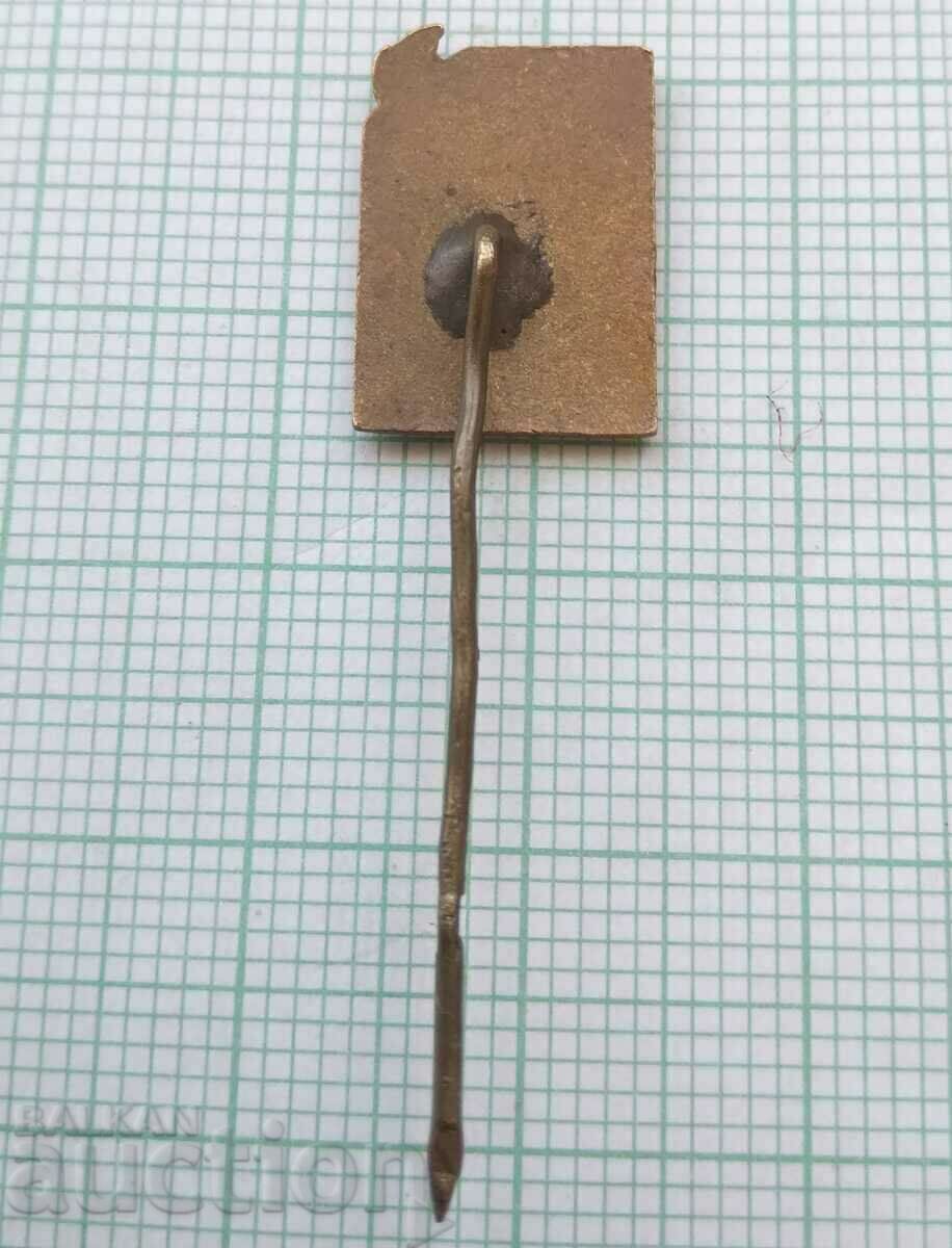 Auction 16011 Badge - Development of community center activity - bronze enamel Auction 16011 Badge - Development of community center activity - bronze enamel