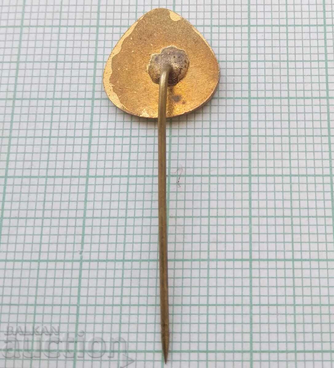 Auction 16013 Blood Donor BCHK Bulgarian Red Cross - bronze enamel Auction 16013 Blood Donor BCHK Bulgarian Red Cross - bronze enamel