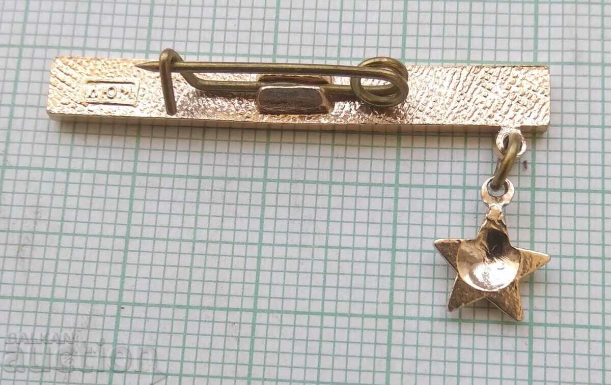 Auction  16017 Badge - Leningrad city hero