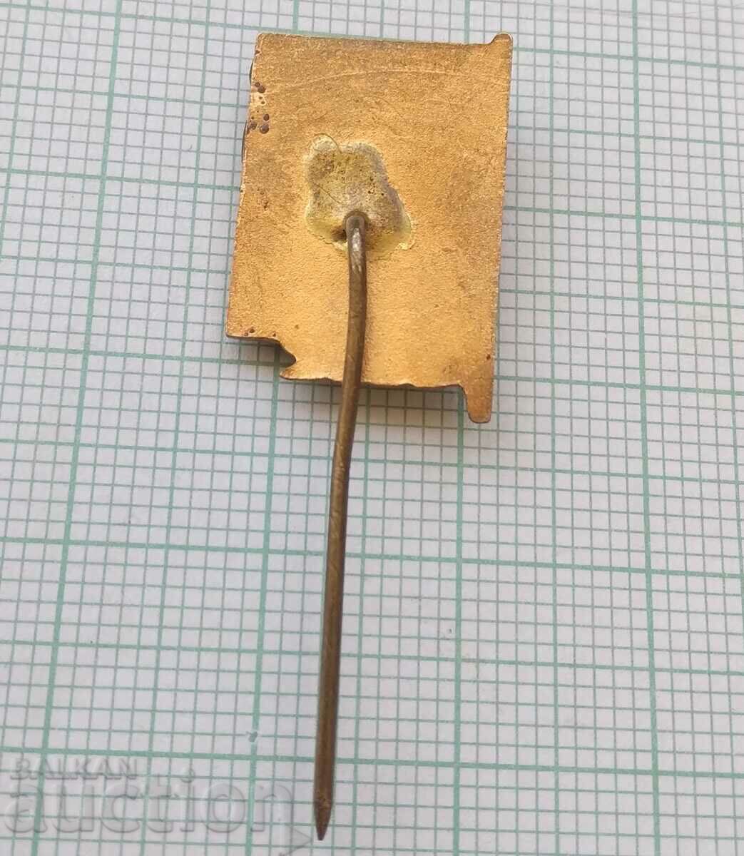 Auction 16026 Badge - Vasil Levski - bronze enamel Auction 16026 Badge - Vasil Levski - bronze enamel