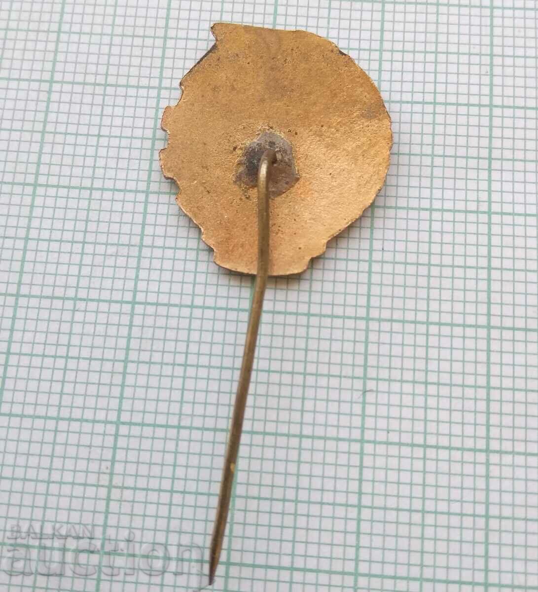 Auction 16031 DOSO Ready for PVCO - bronze enamel screw Auction 16031 DOSO Ready for PVCO - bronze enamel screw