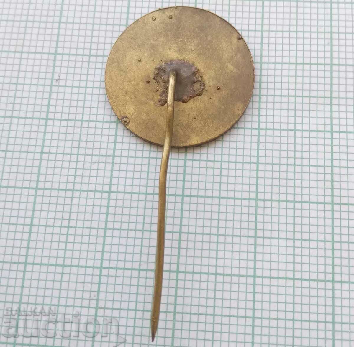 Delivery of 16035 Badge - 30 years Ministry of Interior Delivery of 16035 Badge - 30 years Ministry of Interior