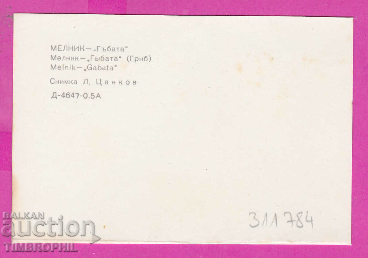 Delivery of 311784 / Melnik - Gabbata 1974 PC D-4647-0.5A Photo Edition Delivery of 311784 / Melnik - Gabbata 1974 PC D-4647-0.5A Photo Edition