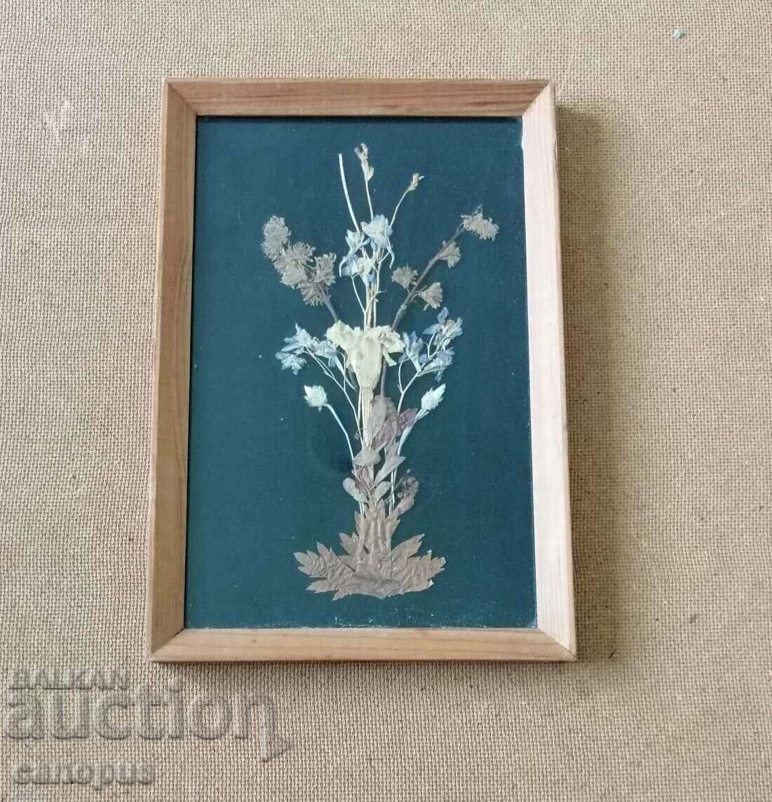 Old Painting of Dry Flowers Herbarium Panel Wood Frame 1980