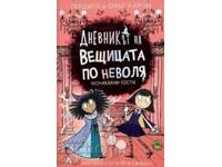 The Witch's Diary by Accident: Unexpected Guests