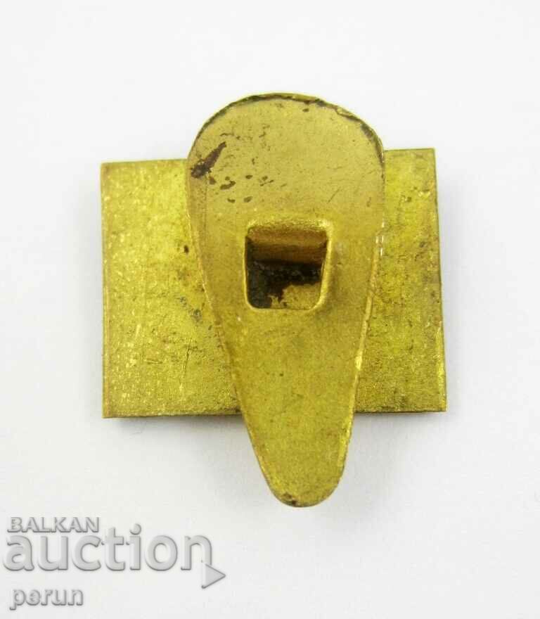 Delivery of Old Badge-Buttonella-Buttoniere-Torch