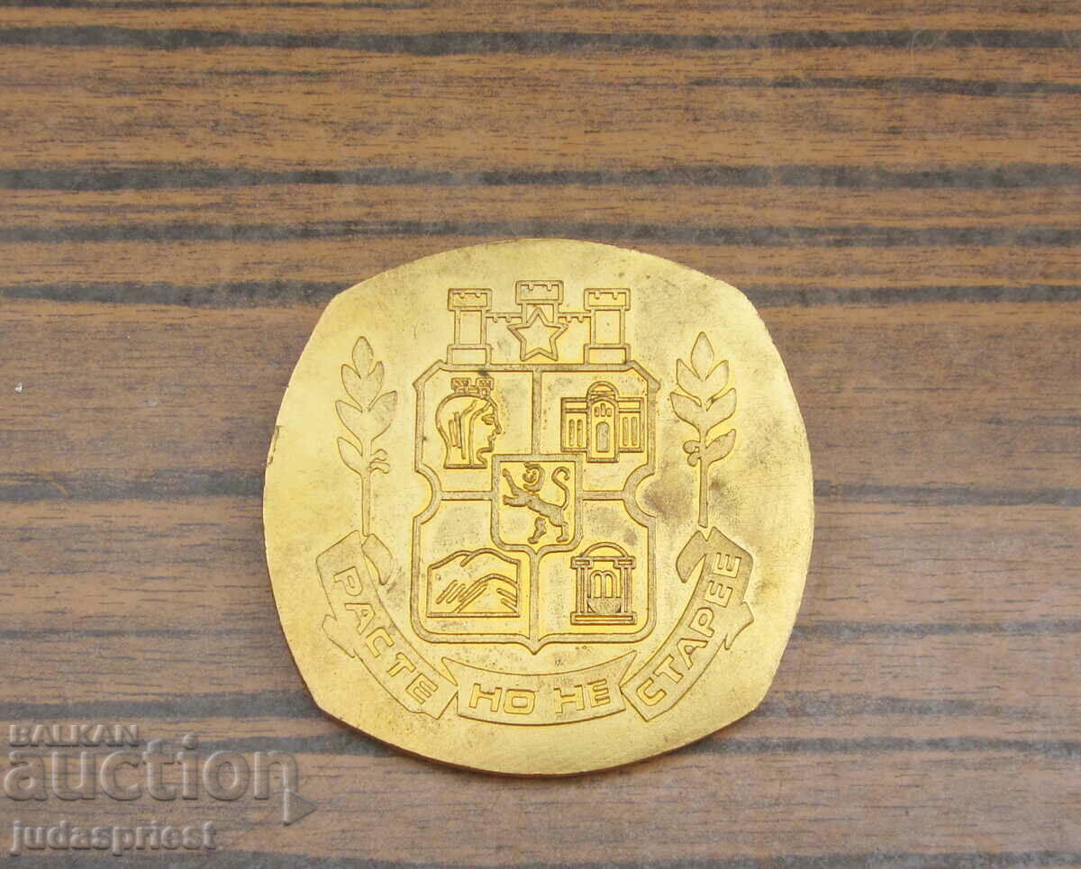 FC Lokomotiv Sofia football medal plaque and badge with price 25.00 BGN | € 12.78