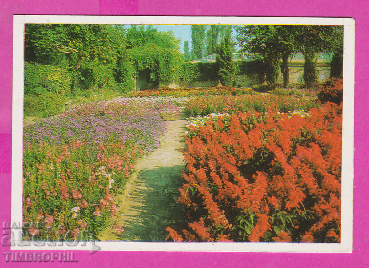 Auction 311936 / Balchik - The garden with the cactus 1971 PC Photo edition Auction 311936 / Balchik - The garden with the cactus 1971 PC Photo edition