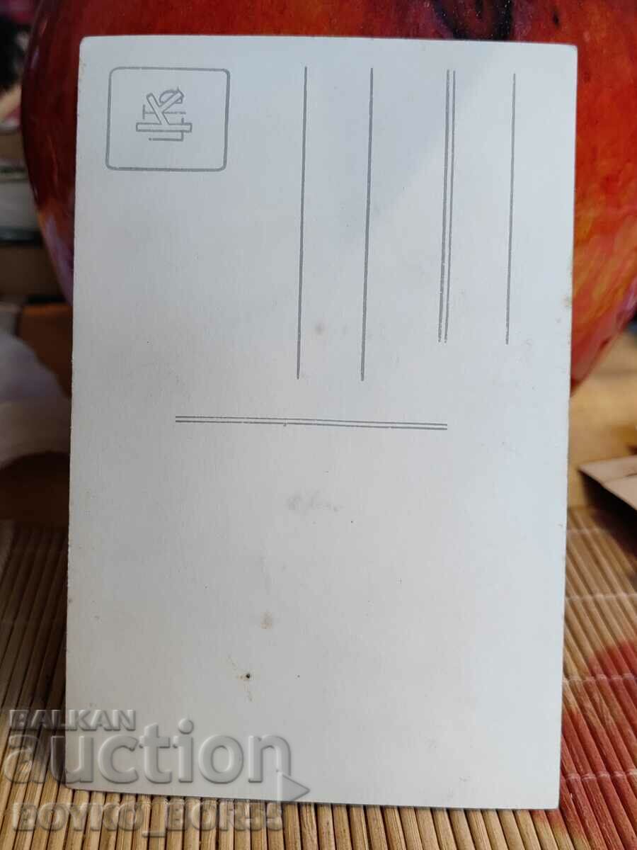 Large Old Photo of Rousse from the Tsar's Time 9/14 cm with price 12.00 BGN | € 6.14 Large Old Photo of Rousse from the Tsar's Time 9/14 cm with price 12.00 BGN | € 6.14