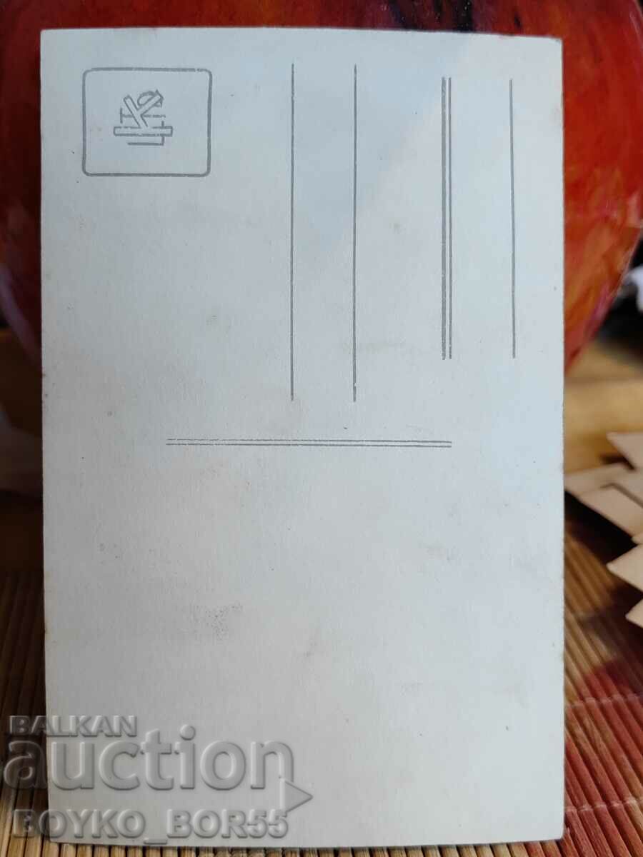 Large Old Photo of Rousse from the Tsar's Time 9/14 cm with price 12.00 BGN | € 6.14 Large Old Photo of Rousse from the Tsar's Time 9/14 cm with price 12.00 BGN | € 6.14