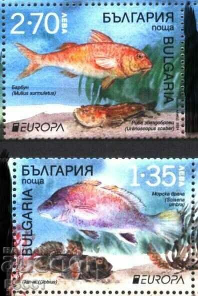 Pure marchează Europa SEPT Pești 2024 din Bulgaria