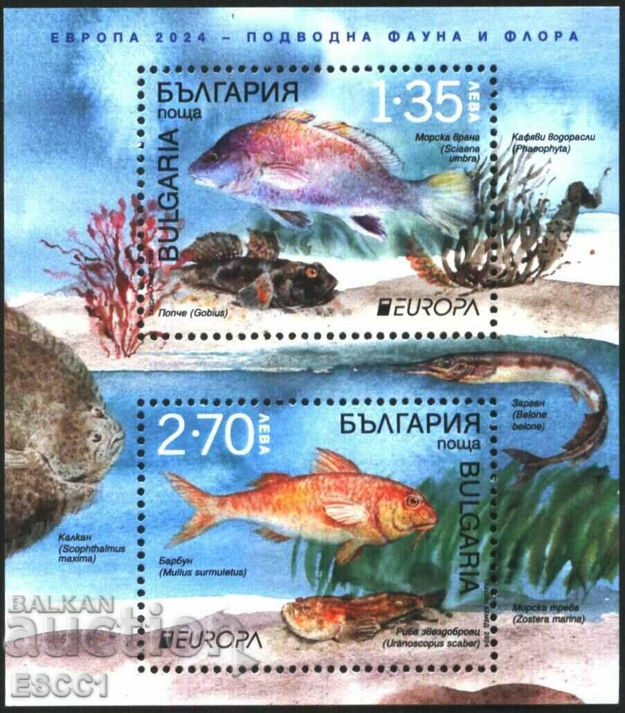Чист блок Европа СЕПТ Риби 2024 от България