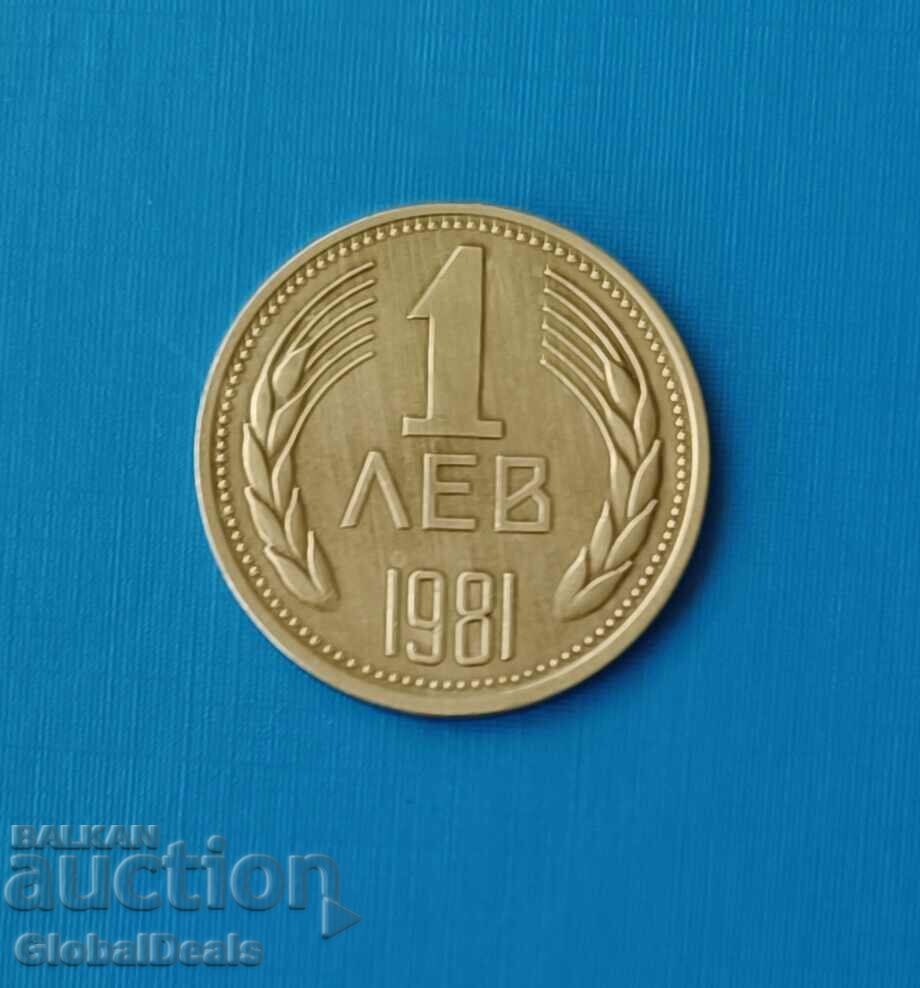 От 1 стотинка 1 лев - 1981 година
