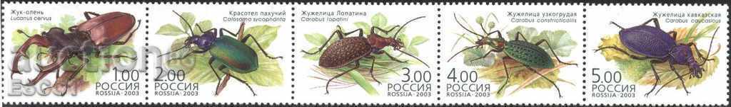 Чисти марки Фауна Насекоми Бръмбари 2003 от Русия