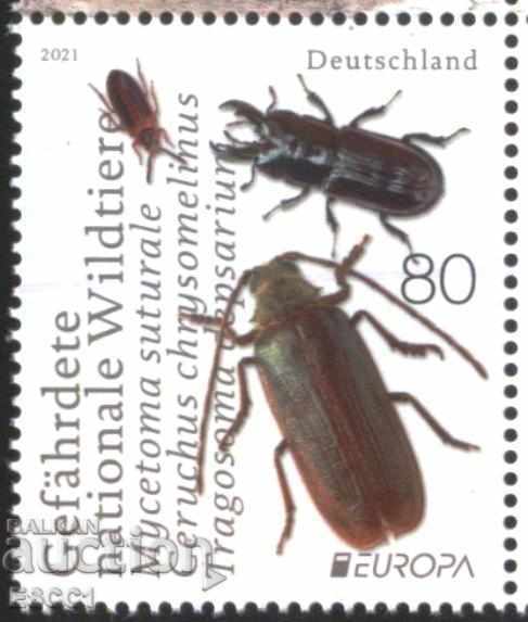 Pure Brand Europe SEPT Insects 2021 from Germany