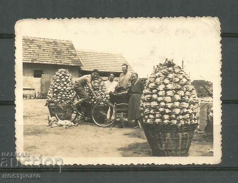 Old photo Bulgaria - A 3871