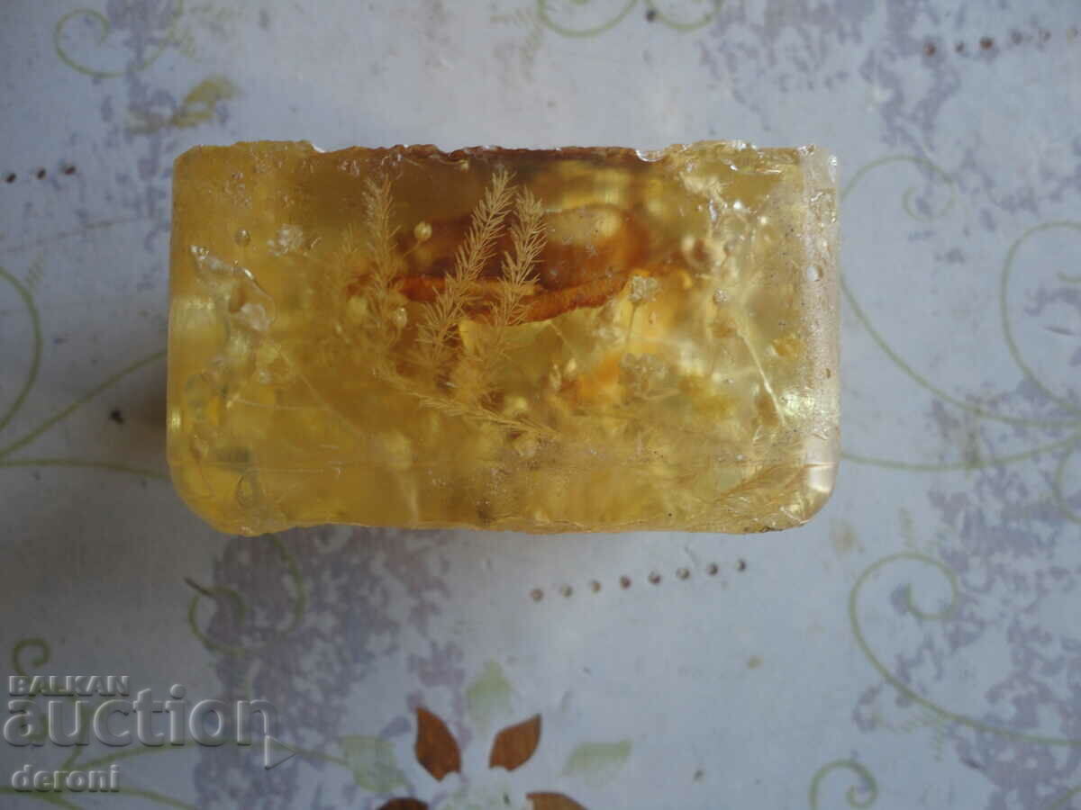 Auction Amber resin with inclusions 1 Auction Amber resin with inclusions 1