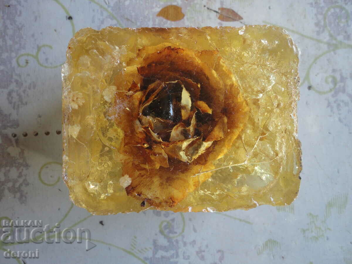 Amber resin with inclusions 1 - 7 Amber resin with inclusions 1 - 7