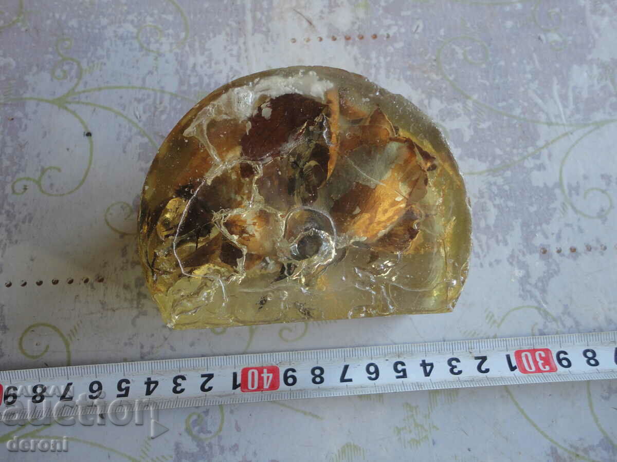 Amber resin with inclusions 2