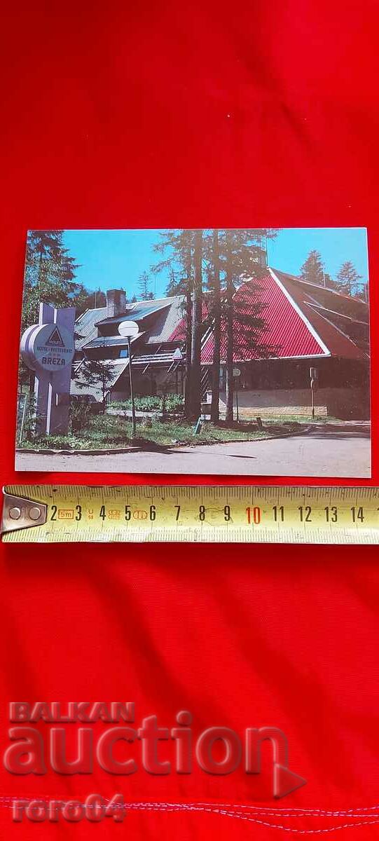 BOROVETS - 6 BOROVETS - 6