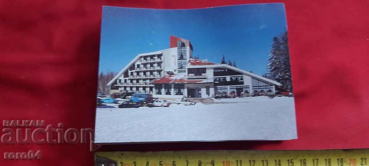 Auction  BOROVETS