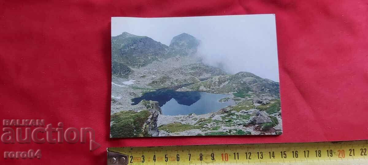 Δημοπρασία ΜΠΟΡΟΒΕΤΣ Δημοπρασία ΜΠΟΡΟΒΕΤΣ