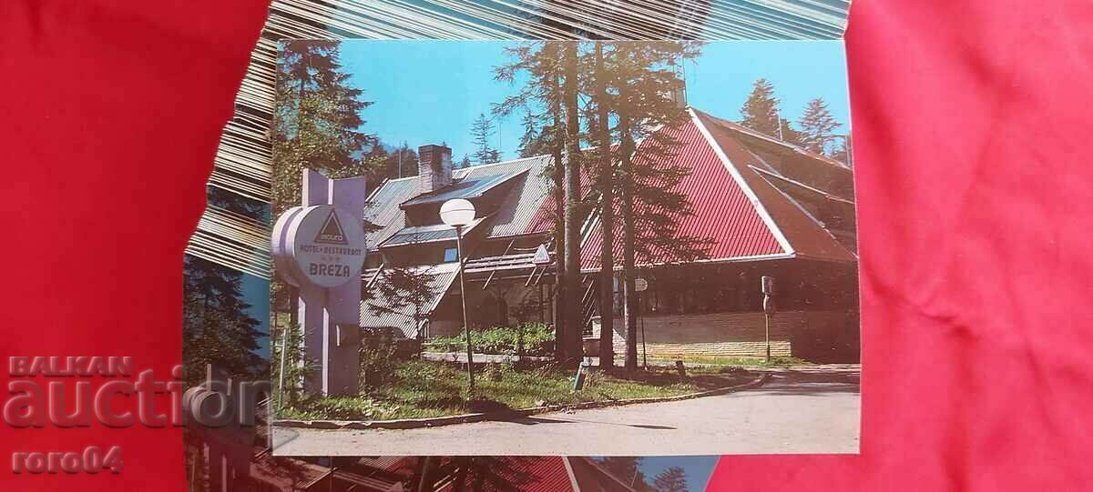 Auction BOROVETS Auction BOROVETS