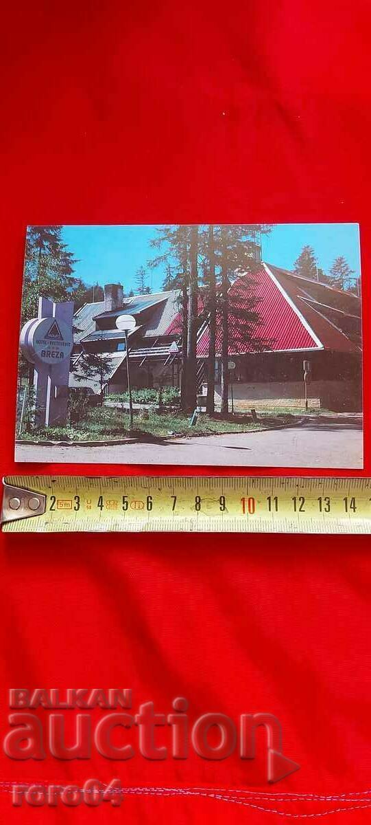 BOROVETS - 6 BOROVETS - 6