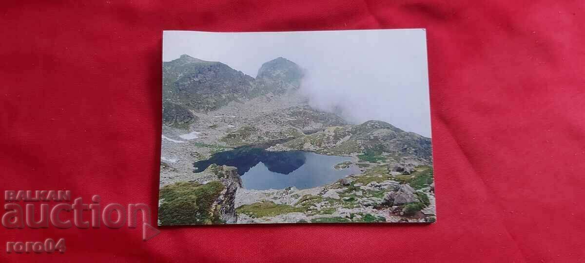 BOROVETS with price 1.00 BGN | € 0.51 BOROVETS with price 1.00 BGN | € 0.51