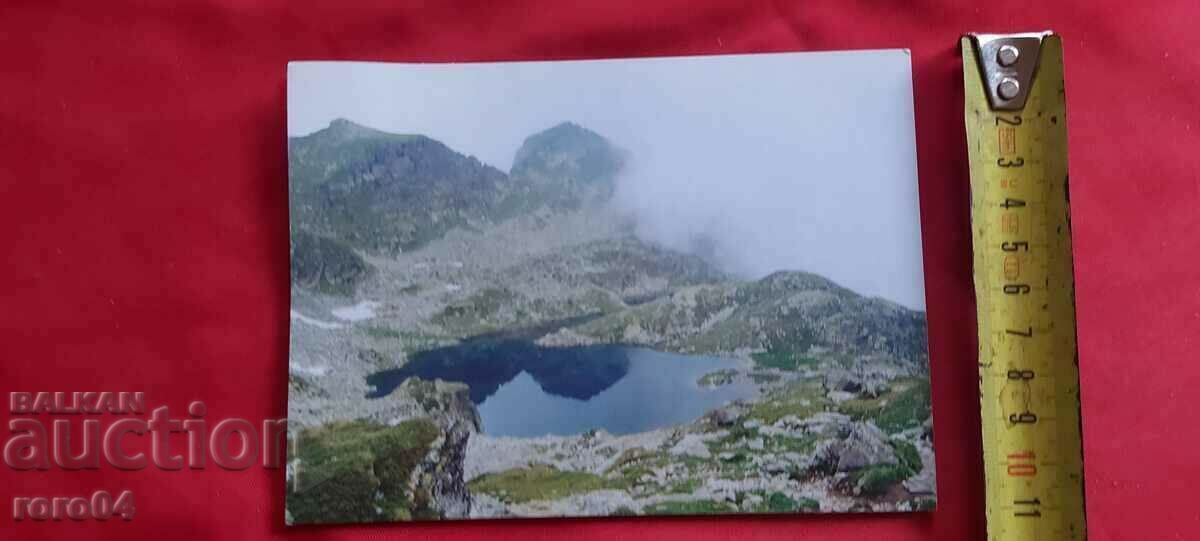 Delivery of BOROVETS Delivery of BOROVETS