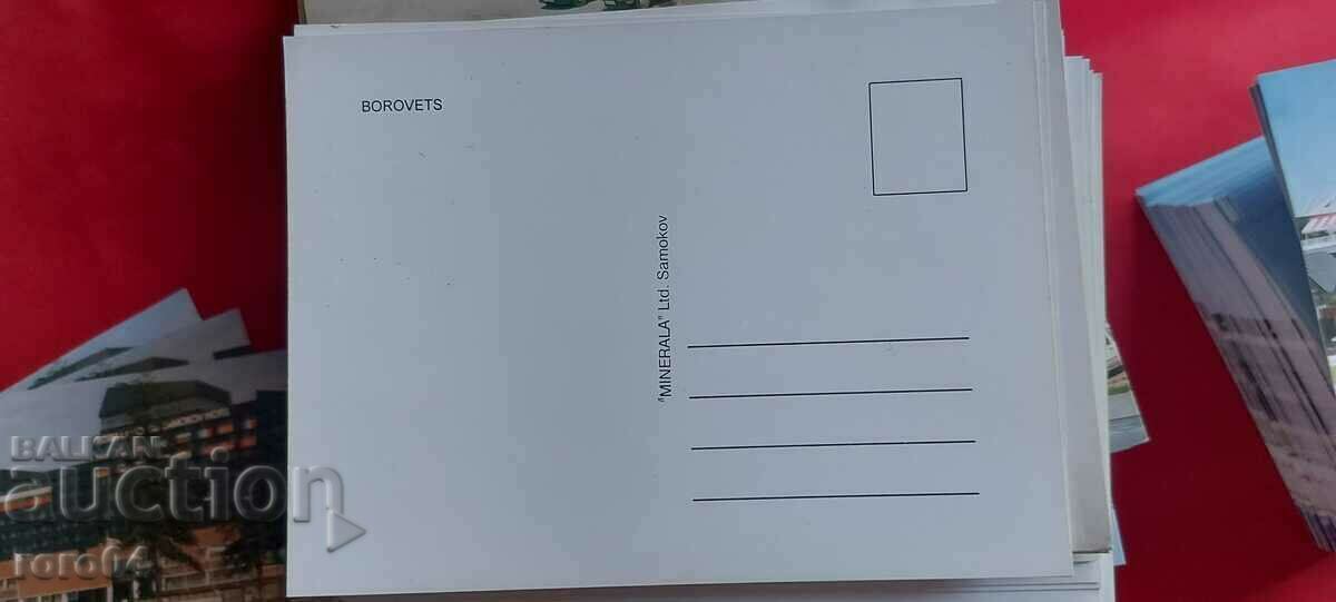 Auction BOROVETS Auction BOROVETS