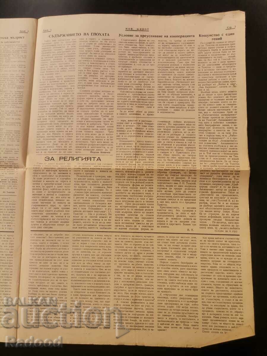 Newspaper New Life Issue 3/1946. - 5
