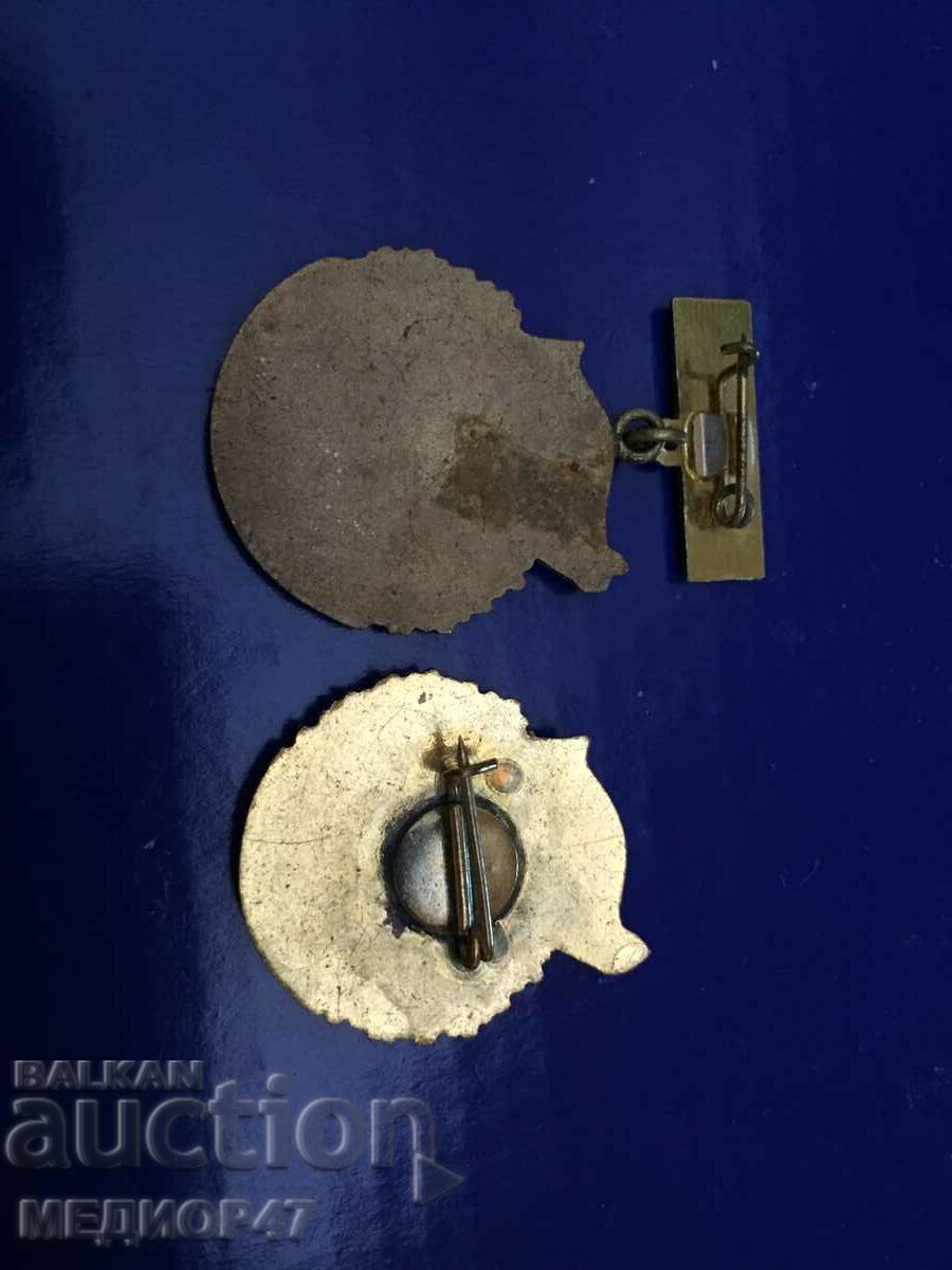 Auction  Badge - Read the description.