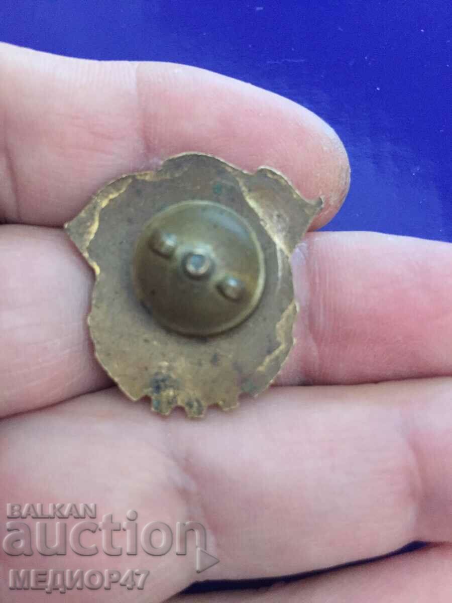 Auction Badge - Read the description. Auction Badge - Read the description.