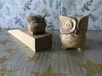 Wood owls