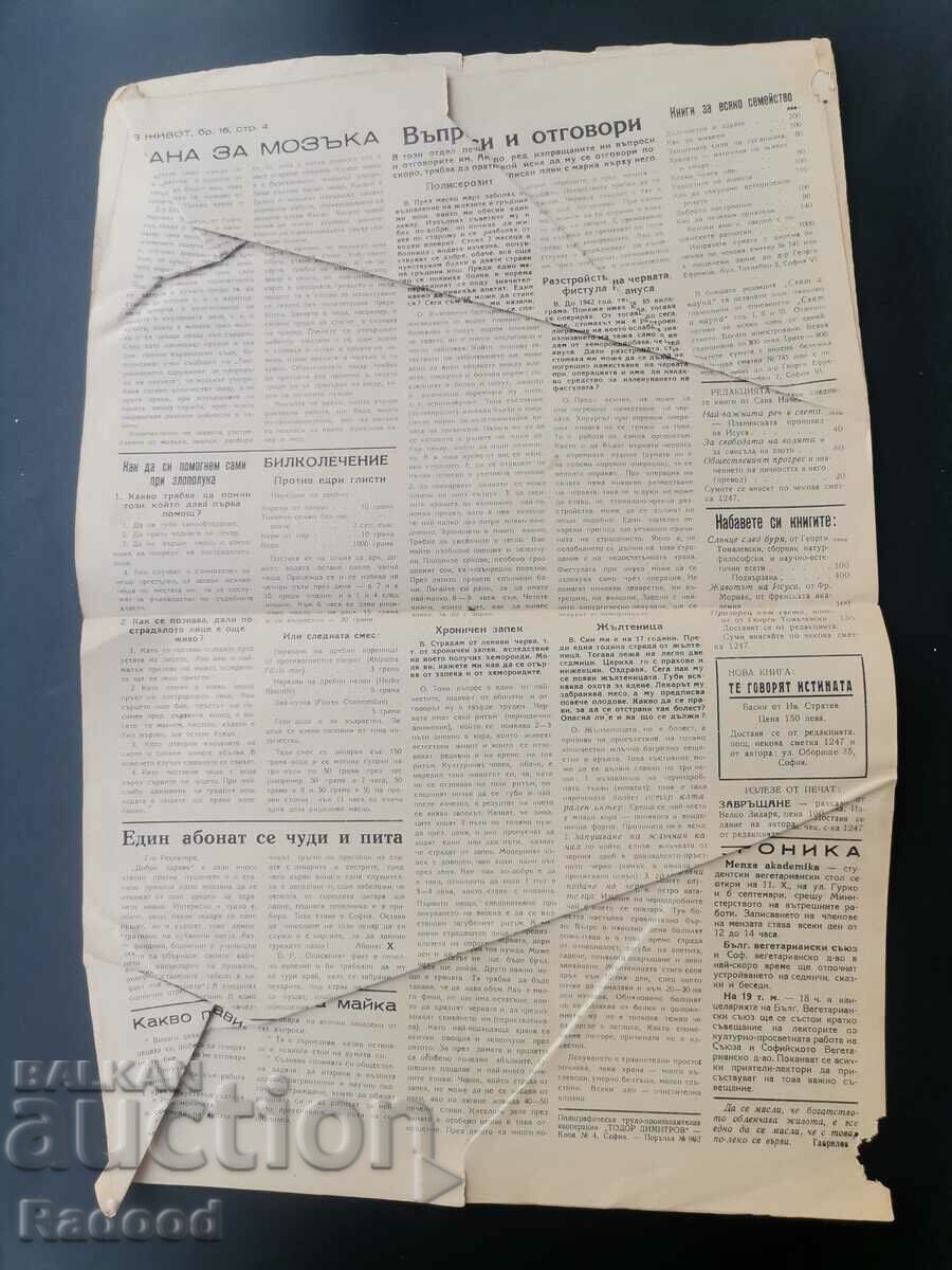 Newspaper New Life Issue 16/1948. with price 5.00 BGN | € 2.56 Newspaper New Life Issue 16/1948. with price 5.00 BGN | € 2.56