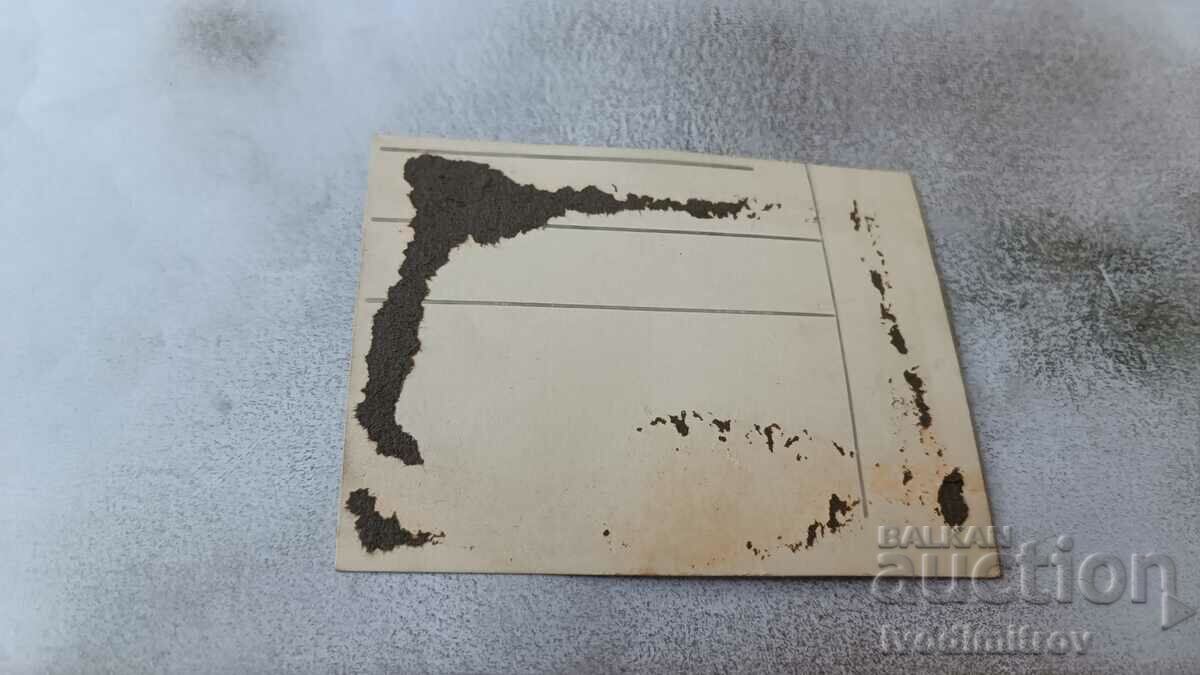 Υπεύθυνος φωτογραφίας με χειρόγραφη υπογραφή με τιμή 2.35 BGN | € 1.20 Υπεύθυνος φωτογραφίας με χειρόγραφη υπογραφή με τιμή 2.35 BGN | € 1.20