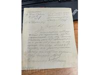 1924 CONSILIUL PLEVEN DE IGIENĂ DOCUMENT DE SECARĂ REGATUL BULGARIA