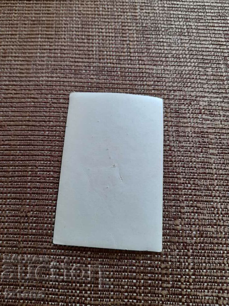 Old postcard, photo Port Revue with price 10.00 BGN | € 5.11