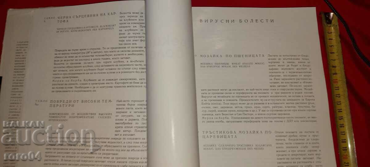 Auction DISEASES OF CULTURAL PLANTS - ALBUM Auction DISEASES OF CULTURAL PLANTS - ALBUM