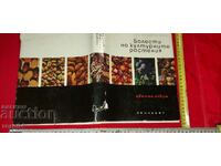 БОЛЕСТИ НА КУЛТУРНИТЕ РАСТЕНИЯ - АЛБУМ