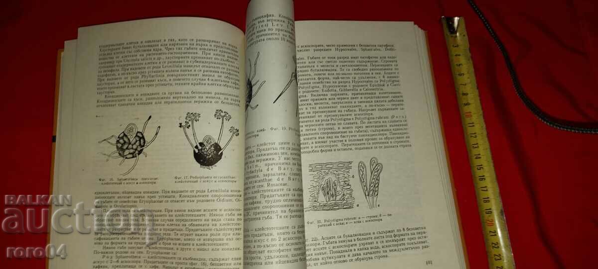 Delivery of PHYTOPATHOLOGY - K. KRESTEV / L. BELCHEVA Delivery of PHYTOPATHOLOGY - K. KRESTEV / L. BELCHEVA