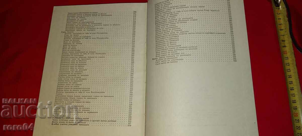 PHYTOPATHOLOGY - K. KRESTEV / L. BELCHEVA - 6 PHYTOPATHOLOGY - K. KRESTEV / L. BELCHEVA - 6