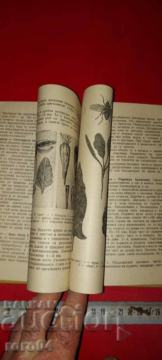 Delivery of PLANT PROTECTION DIRECTORY Delivery of PLANT PROTECTION DIRECTORY