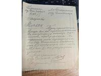 1924 PLEVEN CONSILIUL DE IGIENĂ DOCUMENT REGATUL BULGARIA