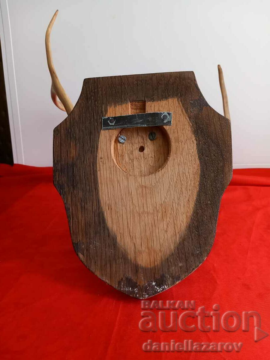 Delivery of Hunting Trophy Antlers, Deer, Roe Deer