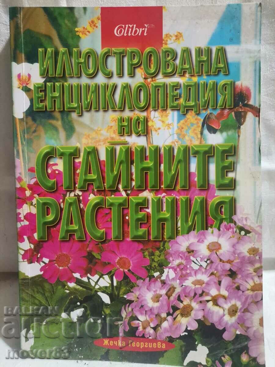 Illustrated Encyclopedia of House Plants. Zh. Georgieva