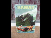 Метална табела Хавай Голямата вълна сърфиране училище сърф