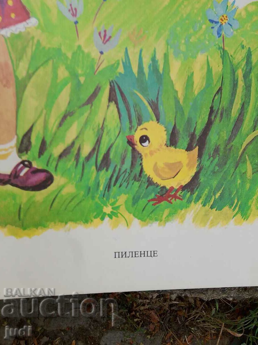 Poster social 70-50 cm cu preț 30.00 BGN | € 15.34 Poster social 70-50 cm cu preț 30.00 BGN | € 15.34